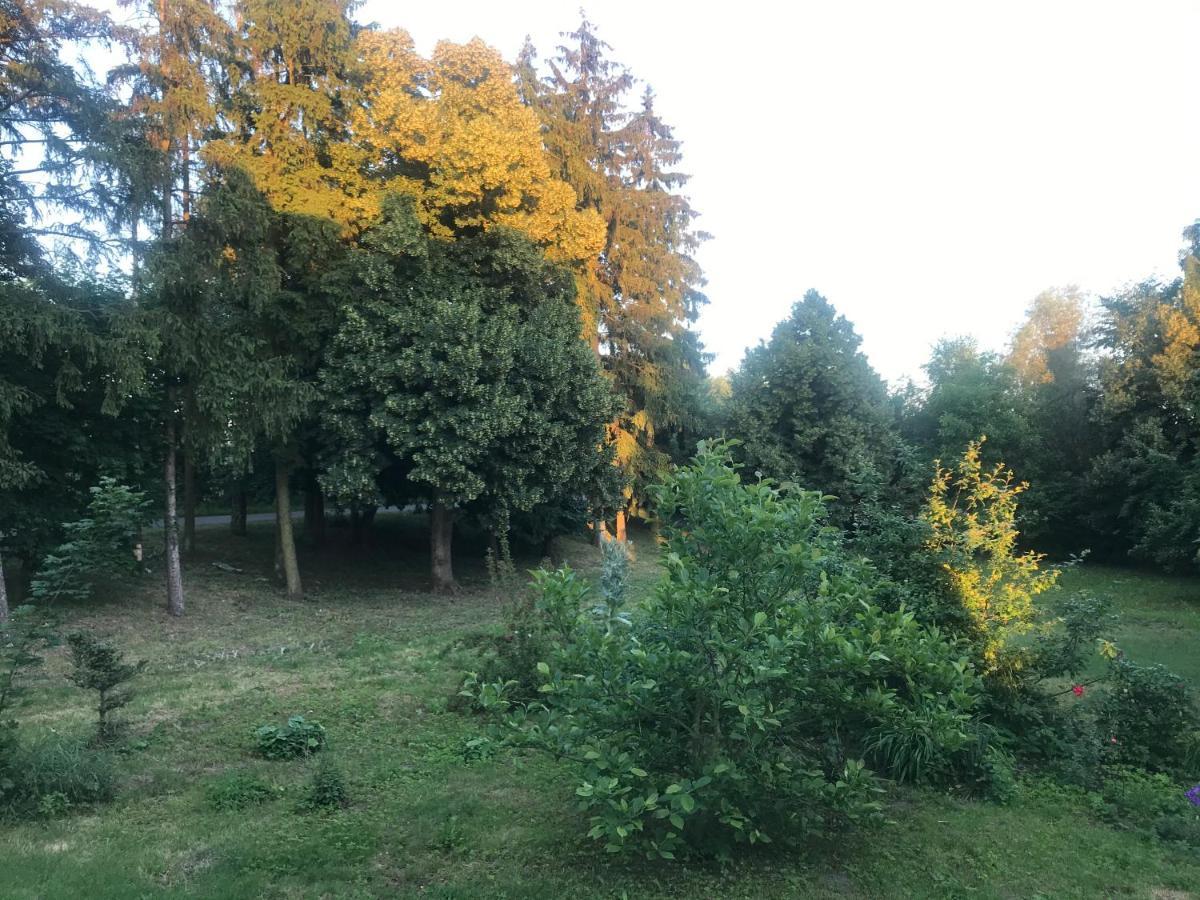 Zabytkowy Drewniany Dom Z 1887 Roku * Nowy Dwor Gdanski